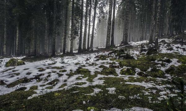 深度关注：四川盆地华南黄淮等地有较强降水 黑龙江等地多强对流天气