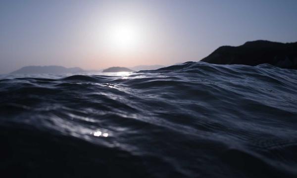 下一代搜索智能体评测基准！美团开源LoHoSearch，用知识图谱校准AI能力认知