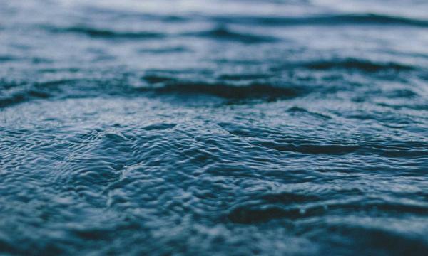 “巴掌地”里好作业 湖南“适配本土”特色小农机俏销海外