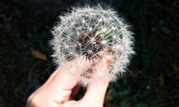 外籍人才长沙体验中医药文化