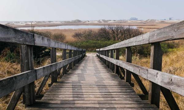深度关注：撤档、提档、空降、点映，什么制造了史上最激烈的暑期档