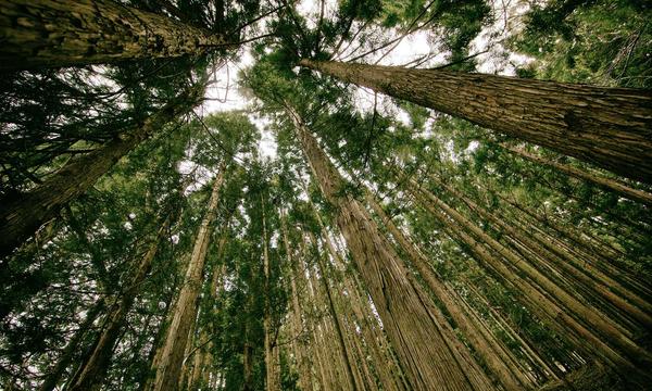 两部门预拨4500万元支持滇藏甘宁做好应急救灾工作