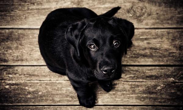 Kimi K3 一开源，Anthropic 终于不装了
